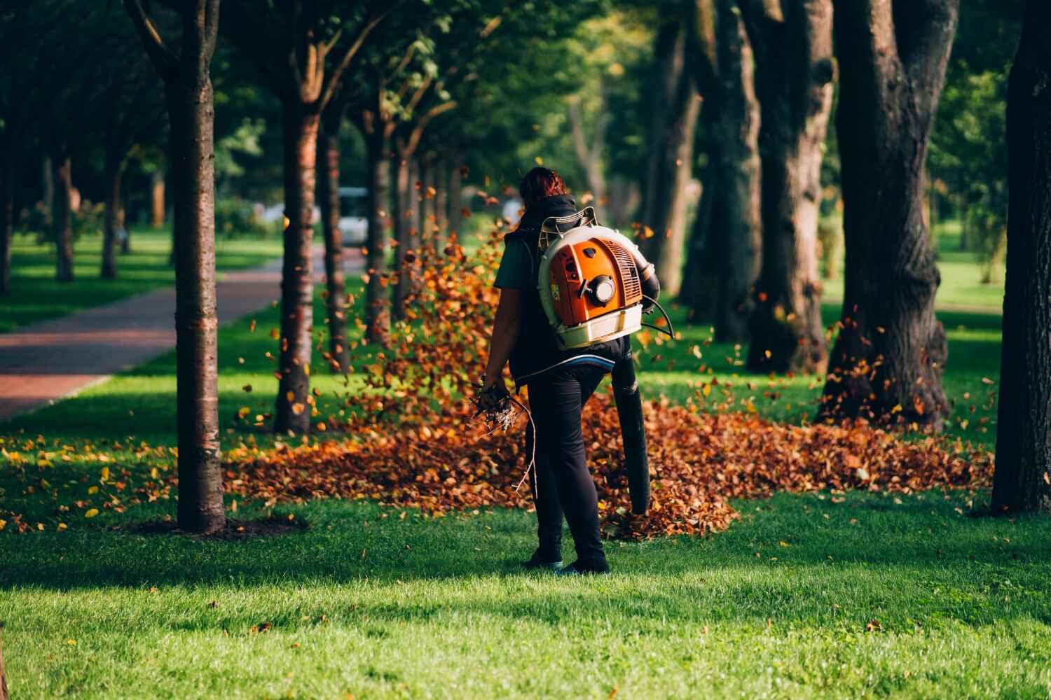 Trusted Homosassa, FL Tree Service Experts